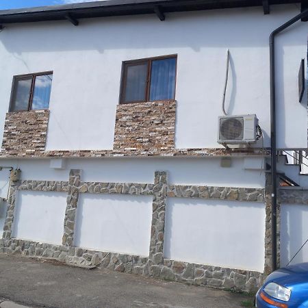 Vila Davison Târgu Jiu Exterior foto