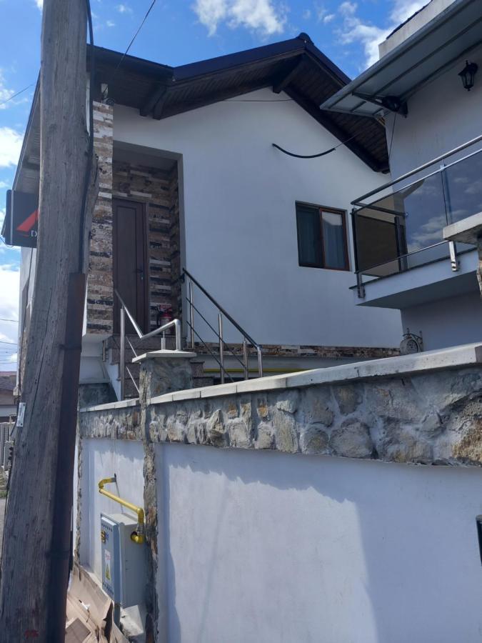 Vila Davison Târgu Jiu Exterior foto