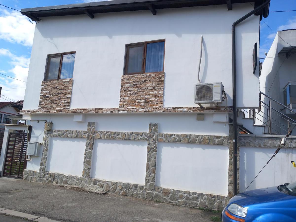 Vila Davison Târgu Jiu Exterior foto